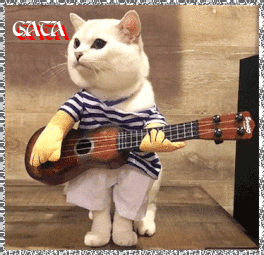 GATA 22.gif